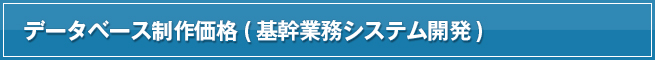 データベース制作価格(基幹業務システム開発)